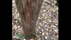 Teen jerks off in woods Thumb