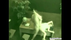 A secretary grab a dick and blowjob fucking hardcore Thumb