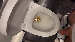 Pissing on a public toilet Thumb