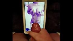 Tribute to Latinaplays7 Thumb