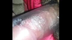 Mannie the native Thumb