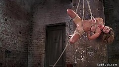 Busty babe crotch roped and hogtied Thumb